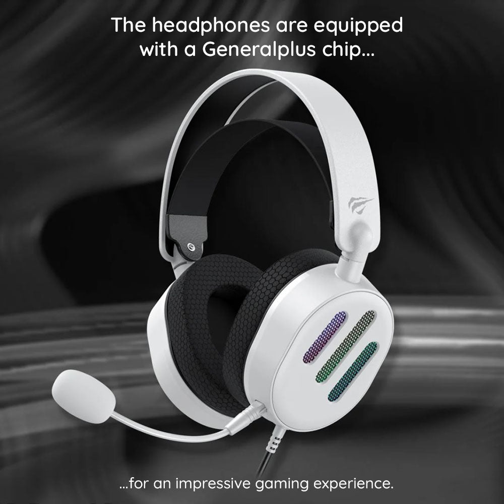 HAVIT H2038U USB Gaming Headset, 2m, Black