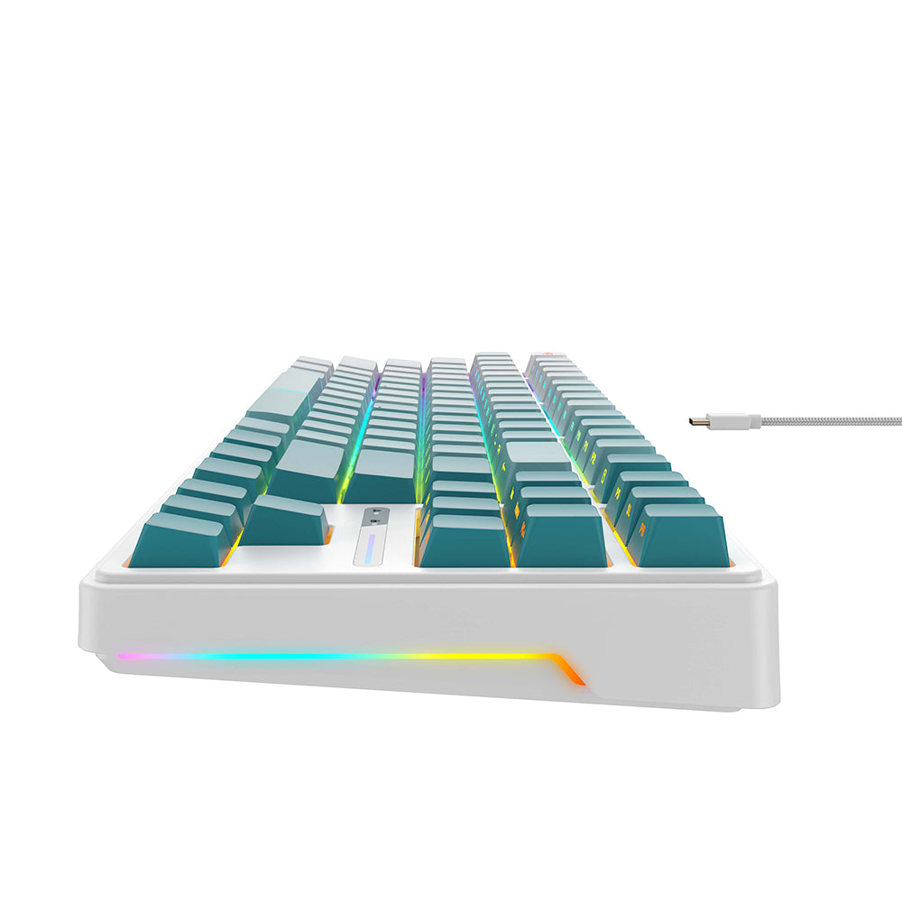 HAVIT KB901L Wired USB Gaming Keyboard, RGB, 1.8m, White Green