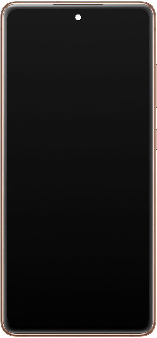 Samsung Galaxy Galaxy S20 FE 5G Touchscreen Display G781, with Frame, Orange, Service Pack GH82-24215F