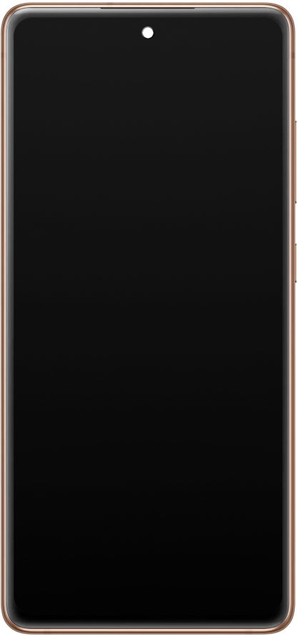 Samsung Galaxy Galaxy S20 FE 5G Touchscreen Display G781, with Frame, Orange, Service Pack GH82-24215F